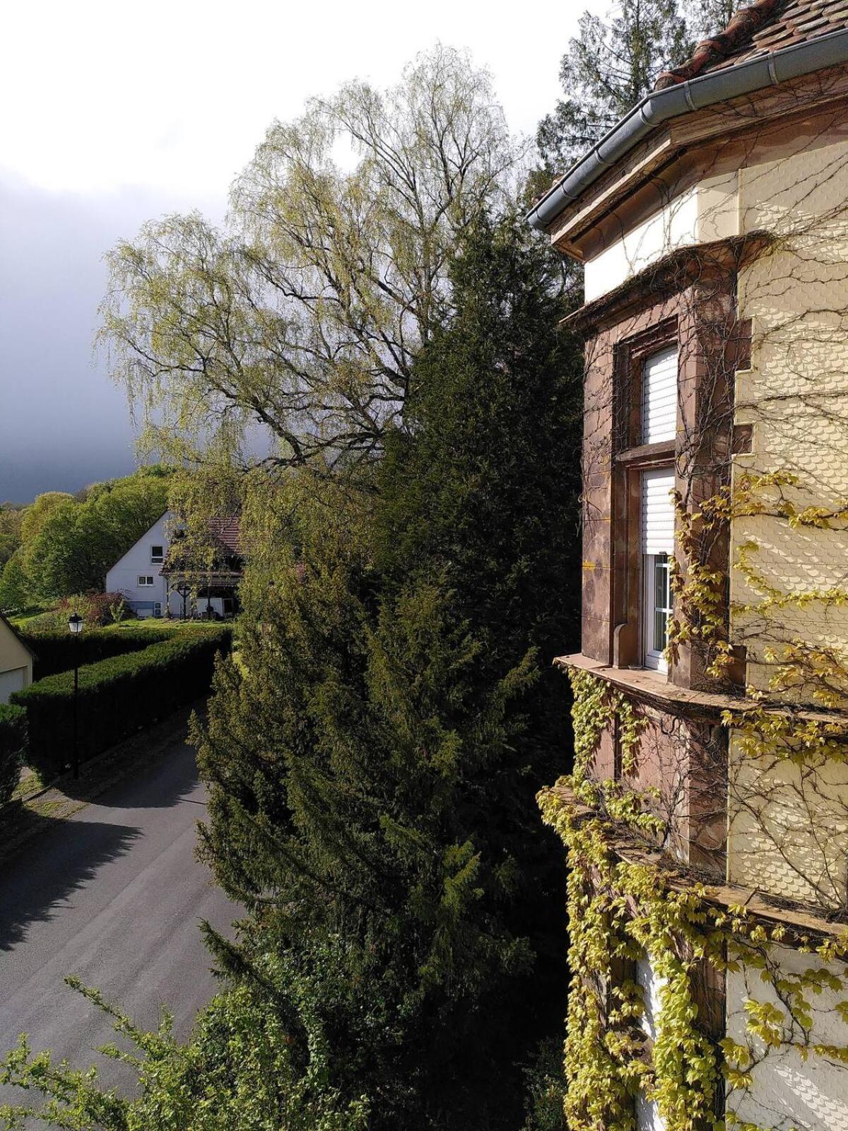 Chez Jeanne A La Villa Gruber Ла-Петит-Пьер Экстерьер фото